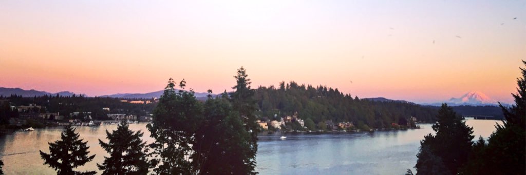 Betsy Noelle Hansen banner