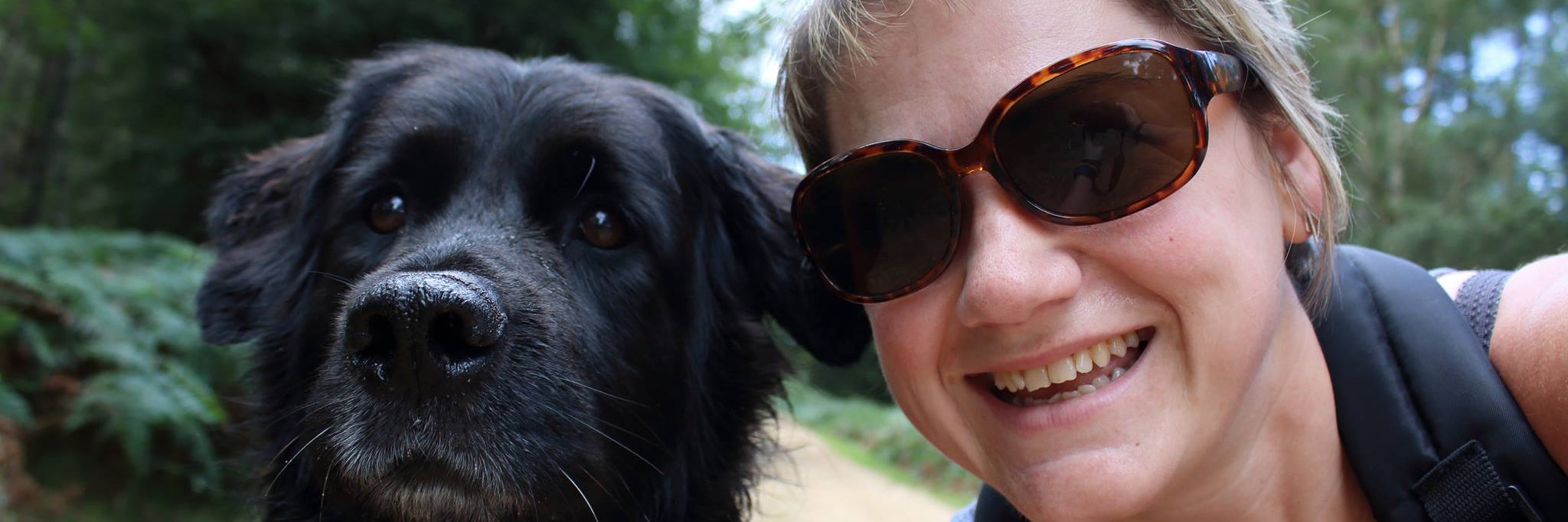 Nic O'Shaughnessy banner