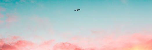 . banner
