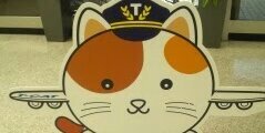 よしみ®　@9.8　boy banner