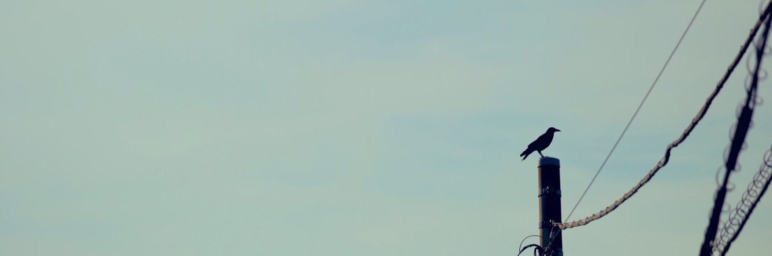 endepe24's profile banner image