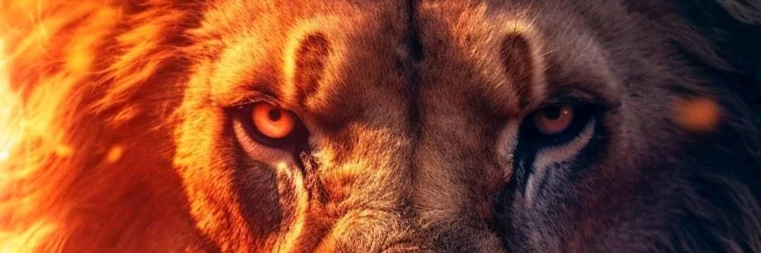 MADRATON's profile banner image