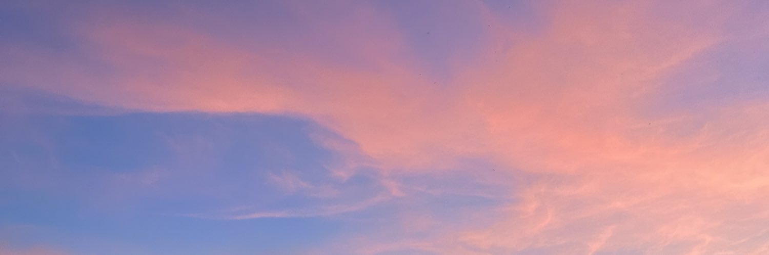 Anna Michaux banner