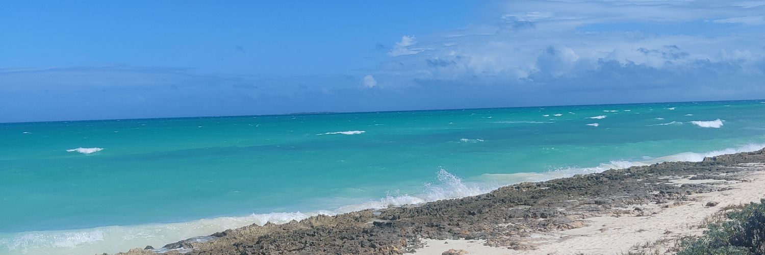 aswariya's profile banner image