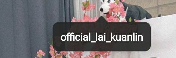 lei ✨ closed. banner