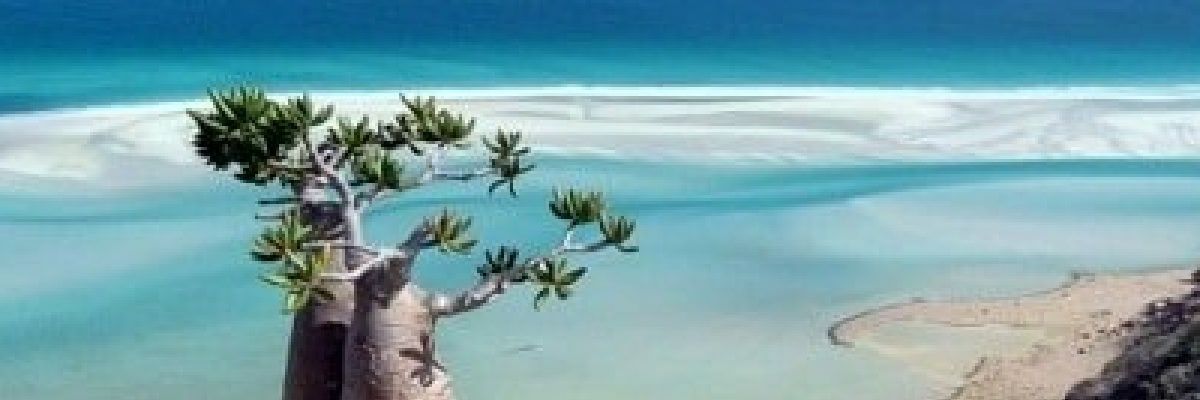 abuashraf_'s profile banner image