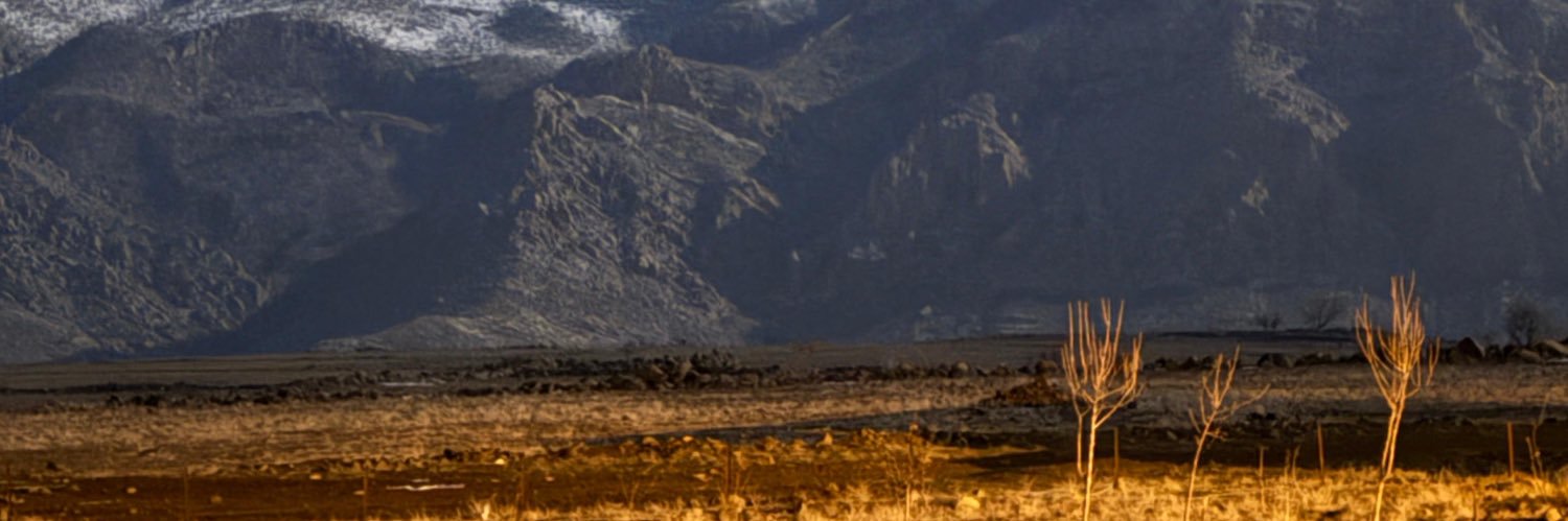 nediyarr4's profile banner image