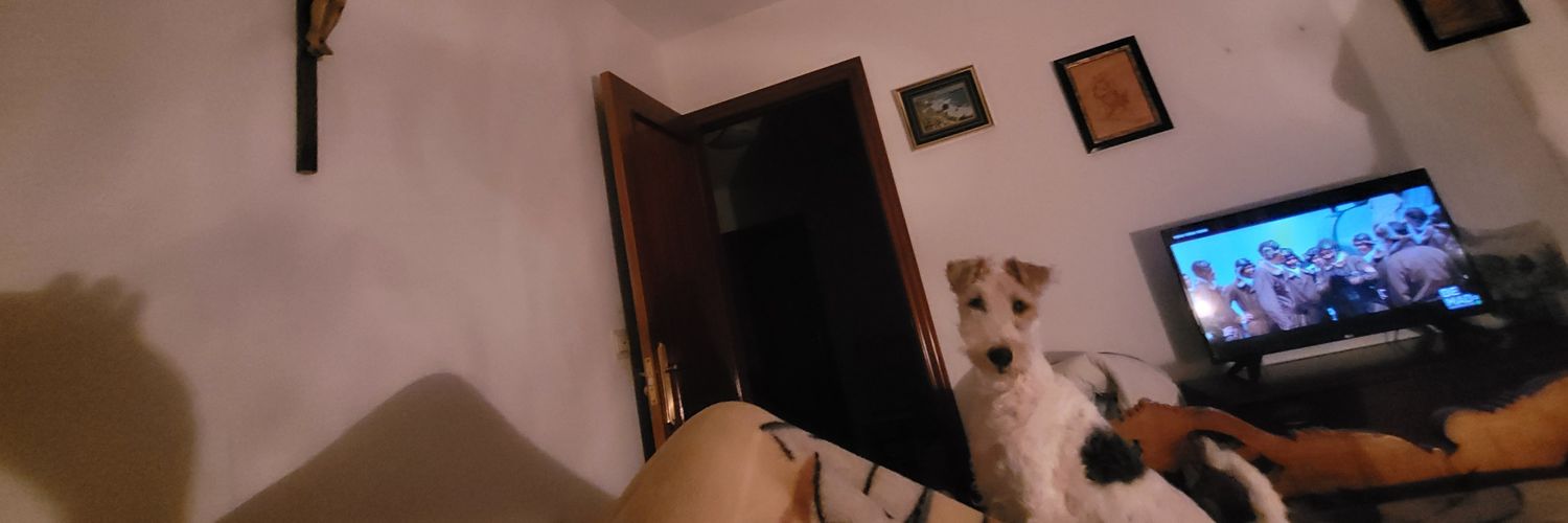 ArmenFran's profile banner image
