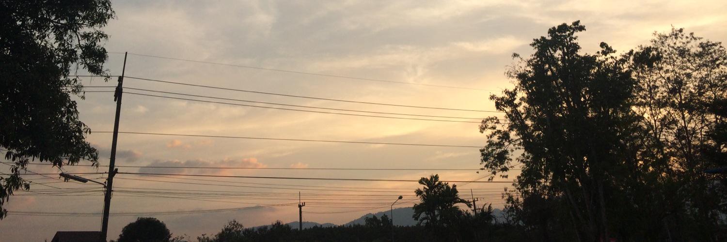 nattarorn's profile banner image