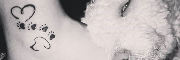 NicTorrellas's profile banner image