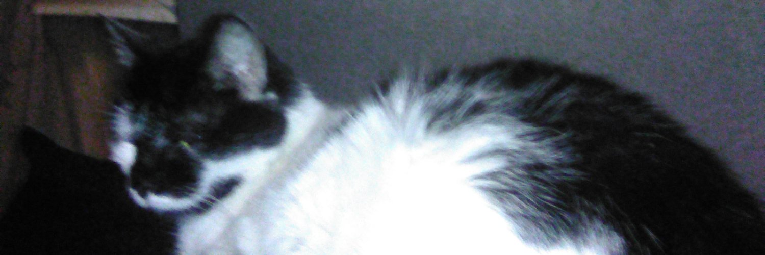 halucifernation's profile banner image