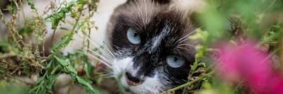 serious businessman banner