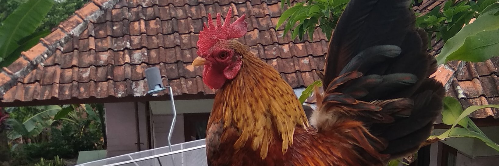 Saparulloh_'s profile banner image