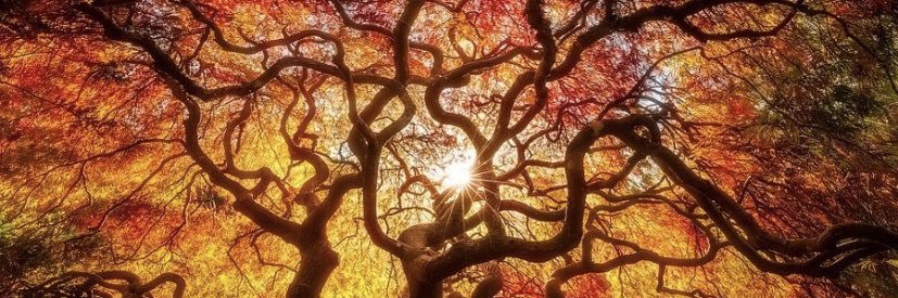 Jayaseeli 🇮🇳🇬🇧🇧🇪 banner