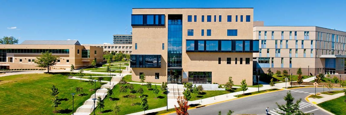 Mary Cecelia Lacity banner