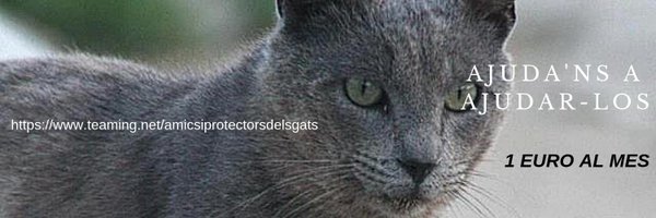 gats_protectora Profile Banner