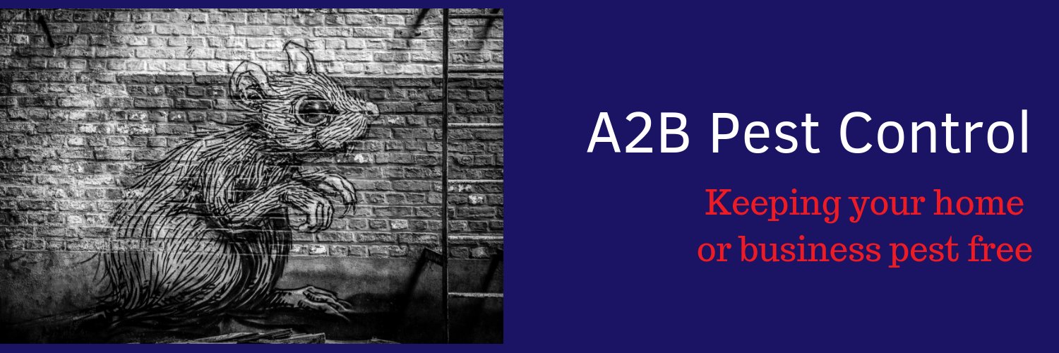 A2B Pest Control Limited banner