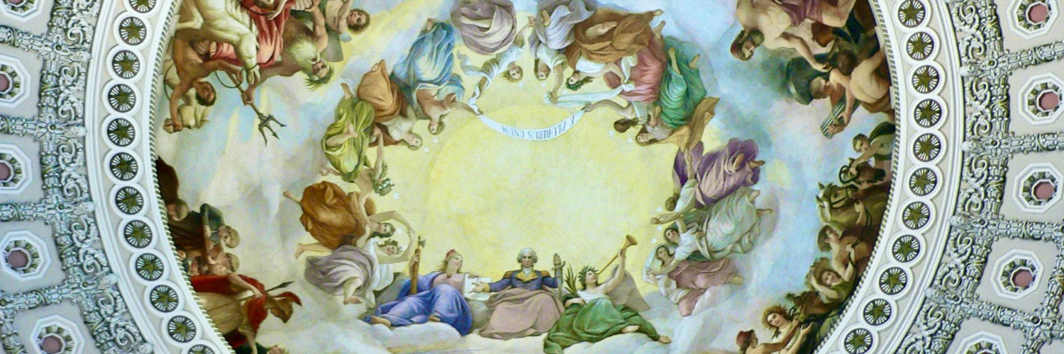 Fabius Americanus's banner