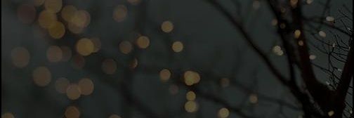 Thania180's profile banner image