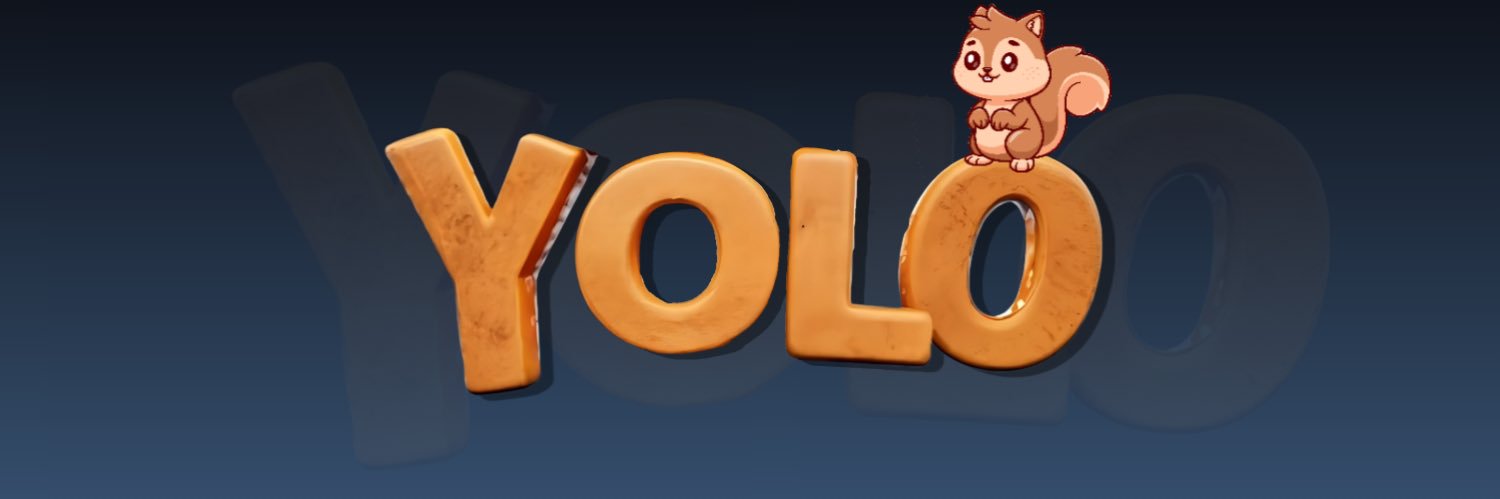 YOLO banner