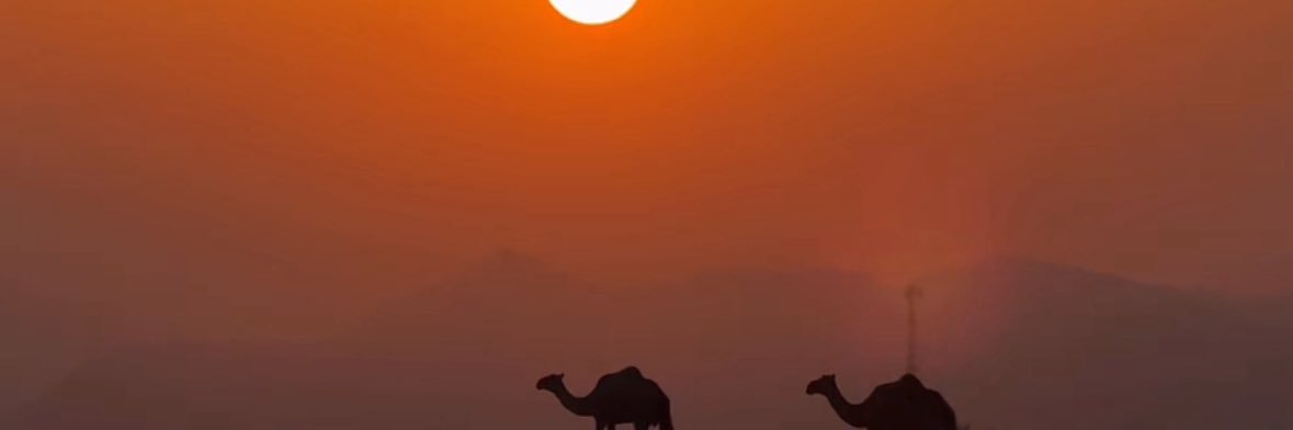 Amushawh's profile banner image