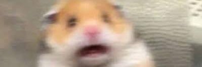 あんそにー banner