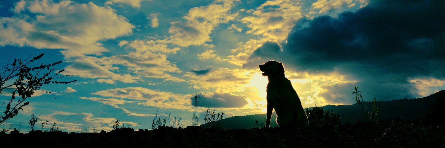 runworld67's profile banner image
