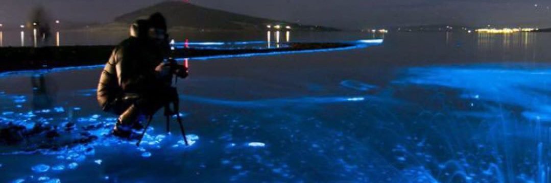 L2llg's profile banner image