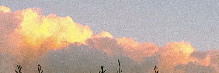 nuria_cer's profile banner image