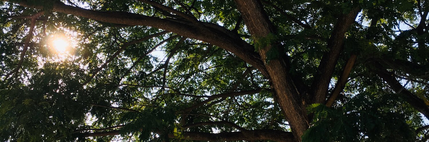 ayowe_'s profile banner image
