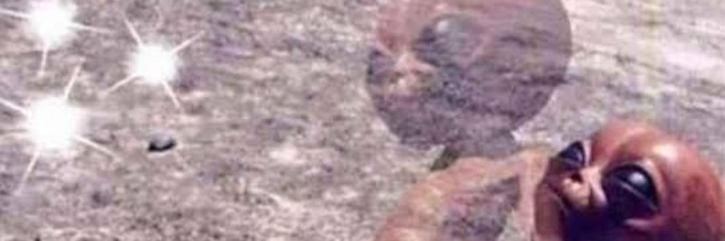 CakeDrake's profile banner image