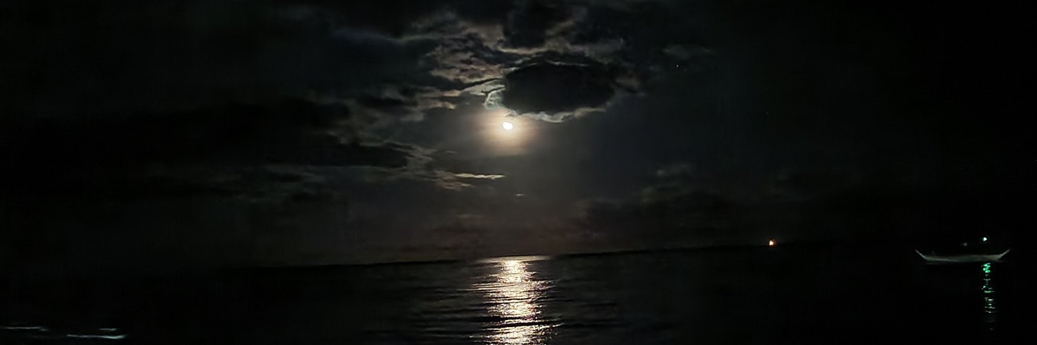 Totfl21's profile banner image