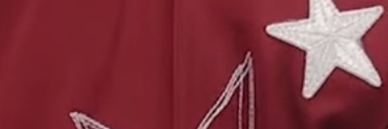 _elosarig's profile banner image
