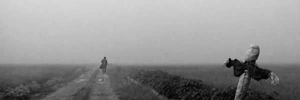 blakedcfc Profile Banner