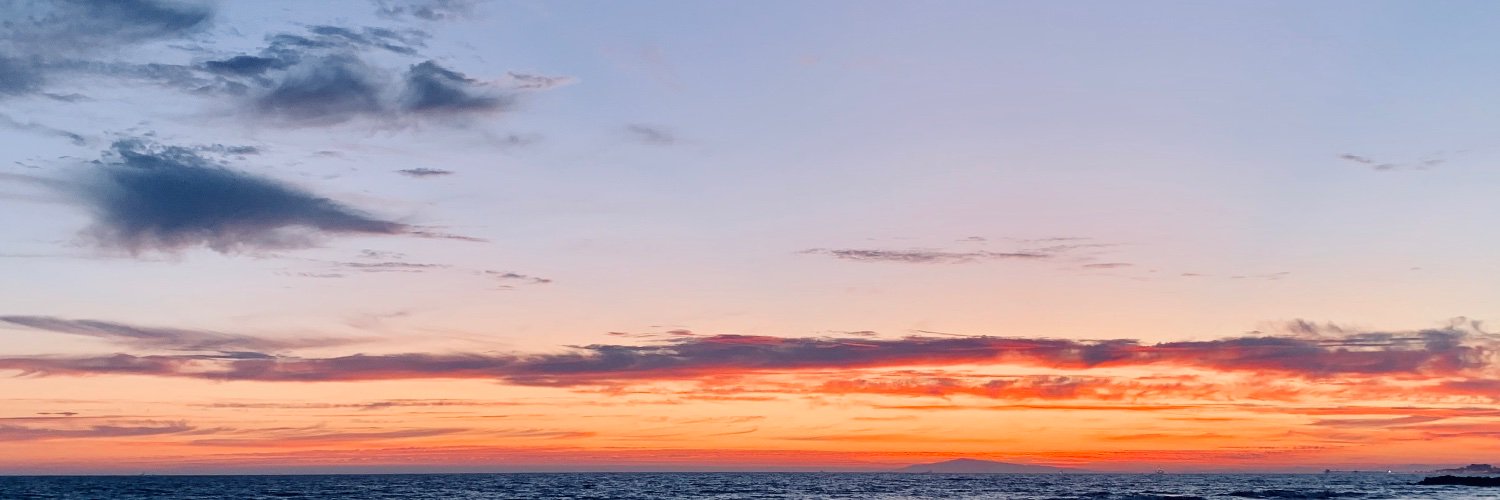 Alex Alekseev banner