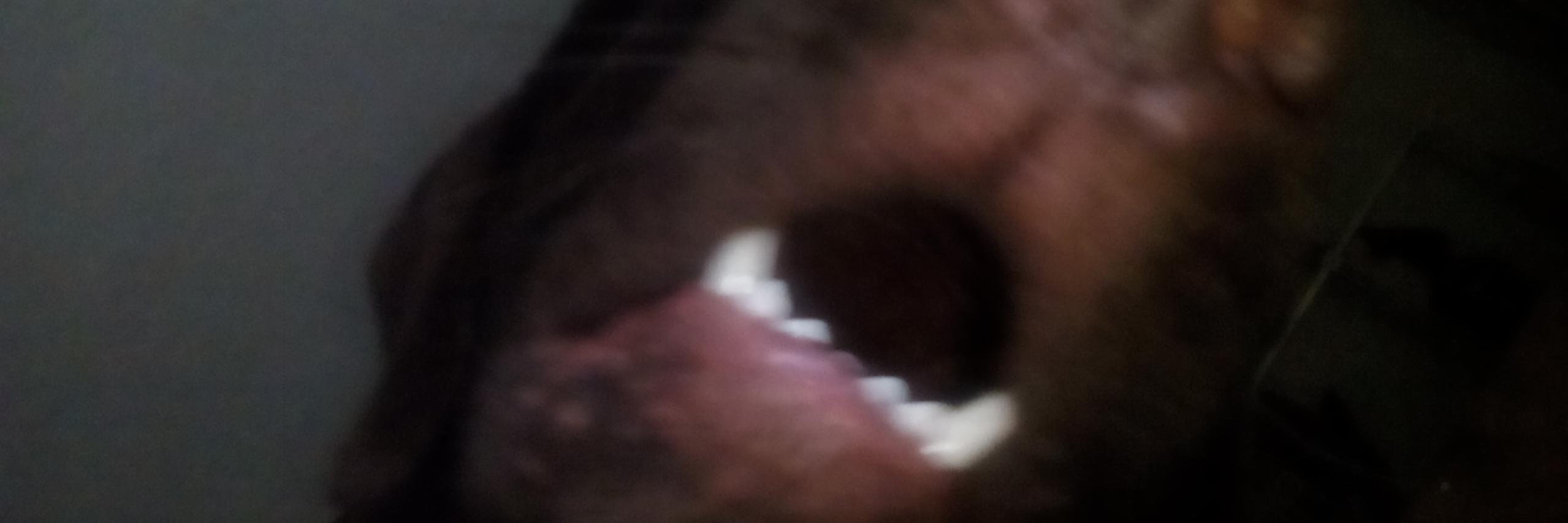 dacolol's profile banner image