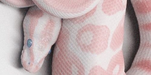 _sarajuana's profile banner image