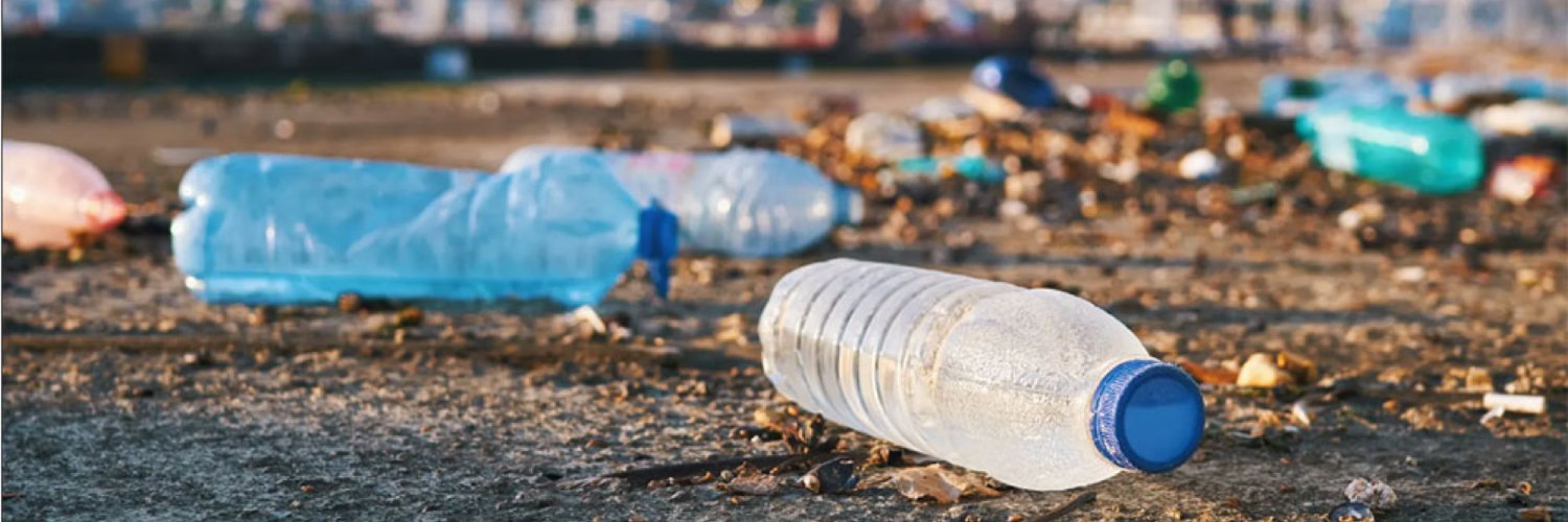 Fernanda Accorsi banner