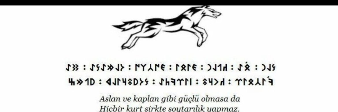 cihat yıldırım banner