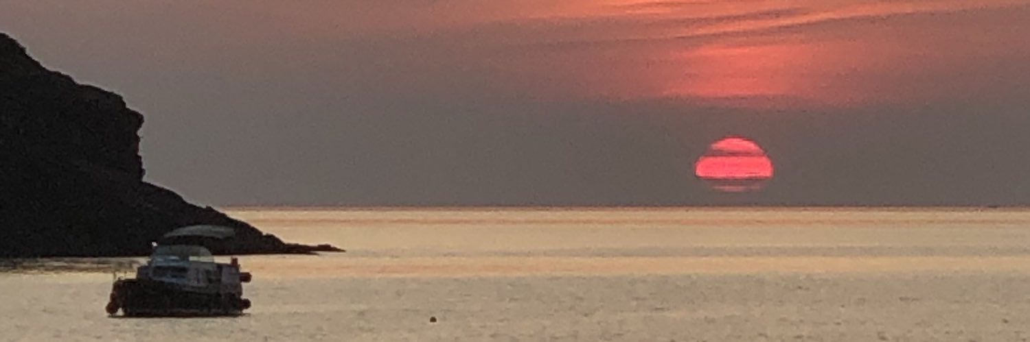 fesmecas's profile banner image