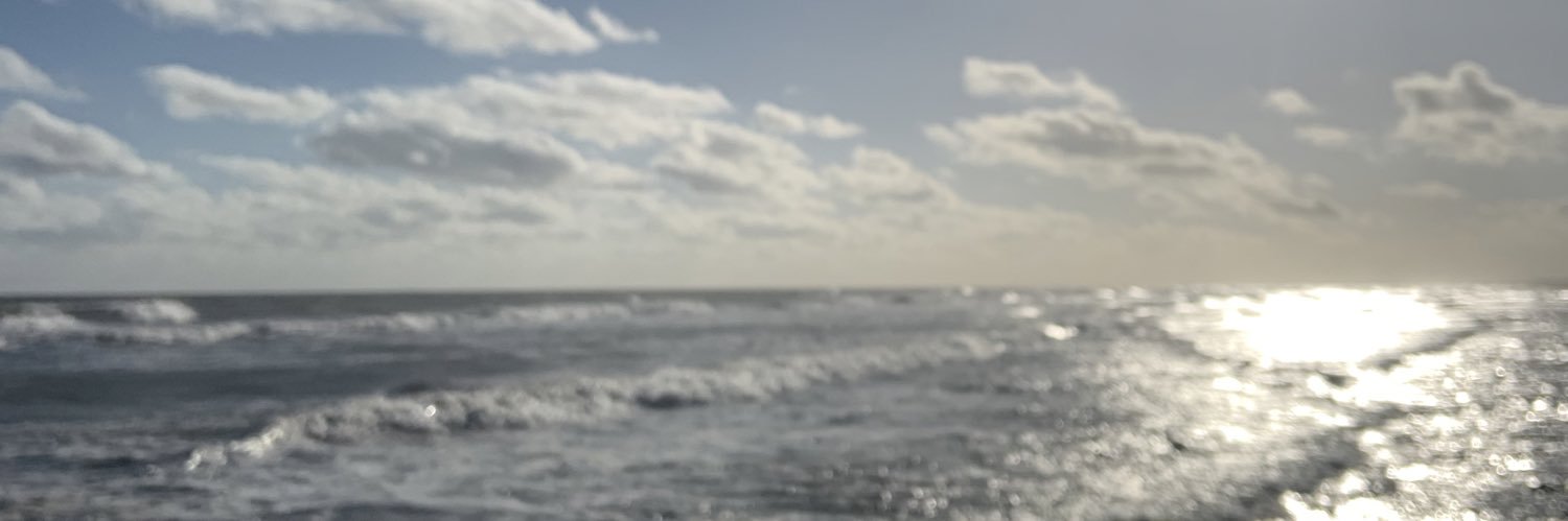 _valebaudena's profile banner image