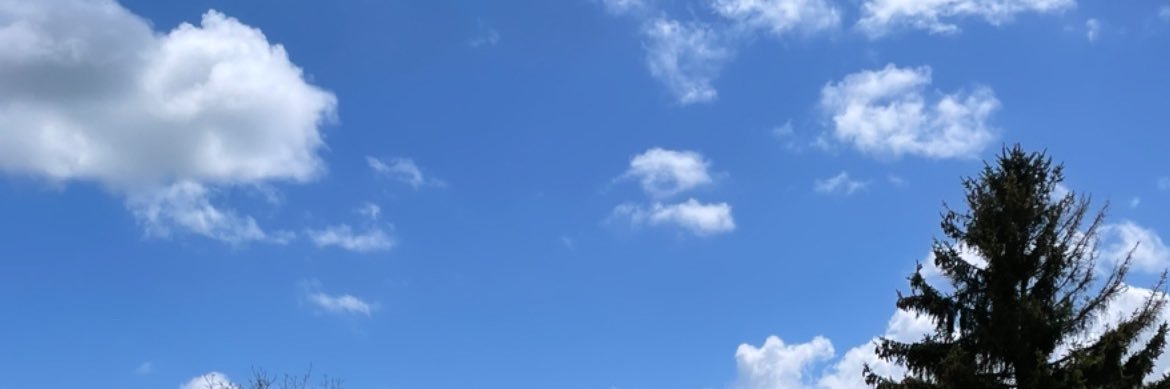 adamsretweets's profile banner image