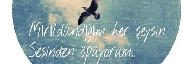 odamangulcan's profile banner image