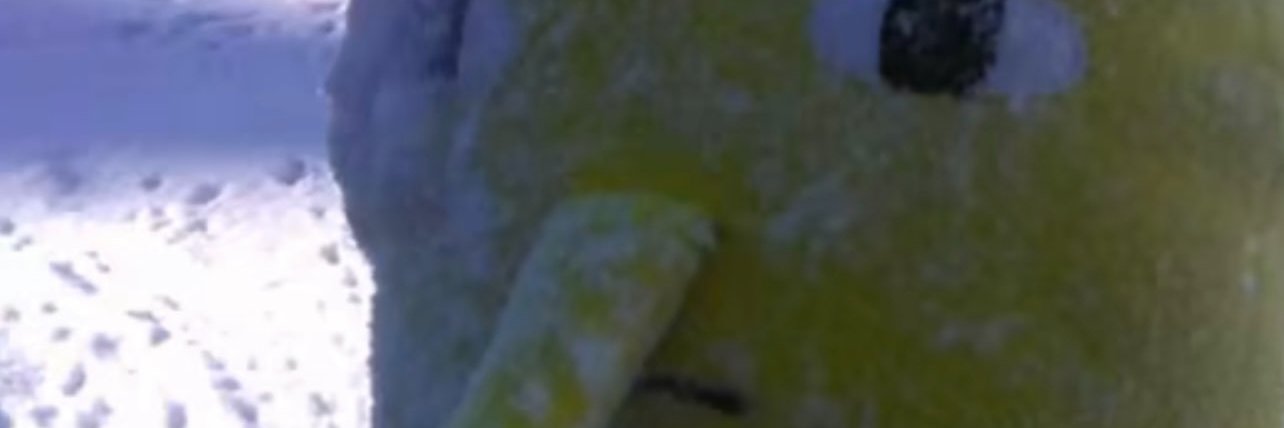 Raymond ♠️ banner