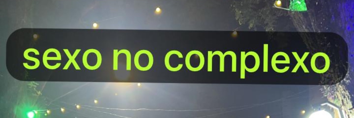 um pequeno jabuti xereta banner