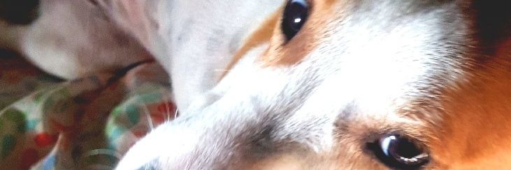 relaxandfullbod's profile banner image