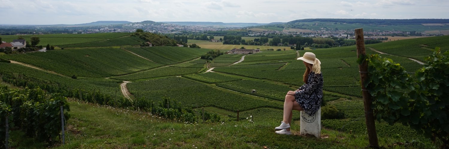 maudholzmann's profile banner image