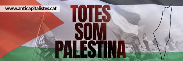 anticapiCat Profile Banner