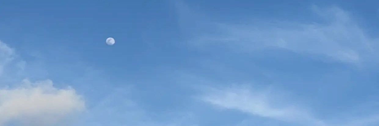 CynnKnowles's profile banner image