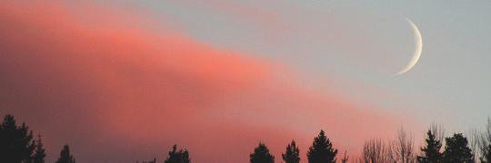 alinegoomez's profile banner image
